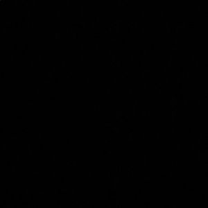 Meet your Posher, Ana